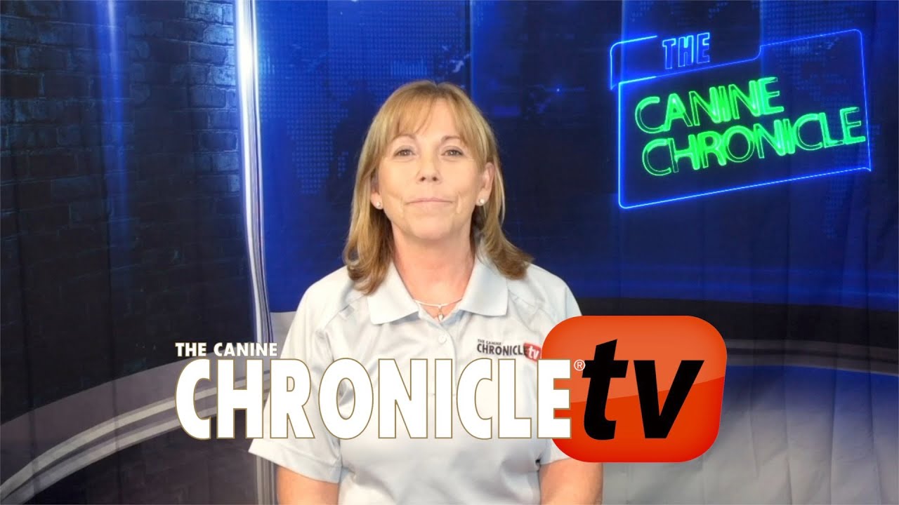 Words of Wisdom - Breed Standards