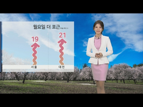 [날씨] 전국 봄햇살…오전 중서부ㆍ호남 미세먼지농도↑ / 연합뉴스TV (YonhapnewsTV)