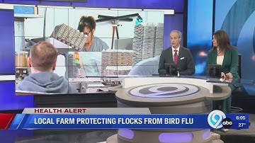 Local farm protecting flocks from bird flu