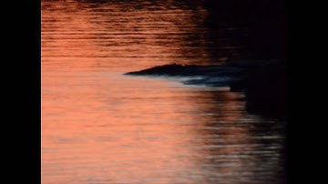 light blending in - mirror image