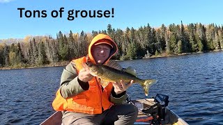 Northern Ontario's Remote Grouse and Walleye!  | Day trip | 4K |