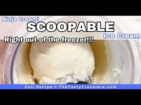 Ninja Creami Sorbet Recipes - The Tasty Travelers