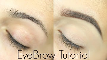 Eyebrow Tutorial for Beginners