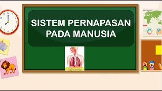 Sistem Pernapasan Manusia Tema 2 Kelas 5 SD