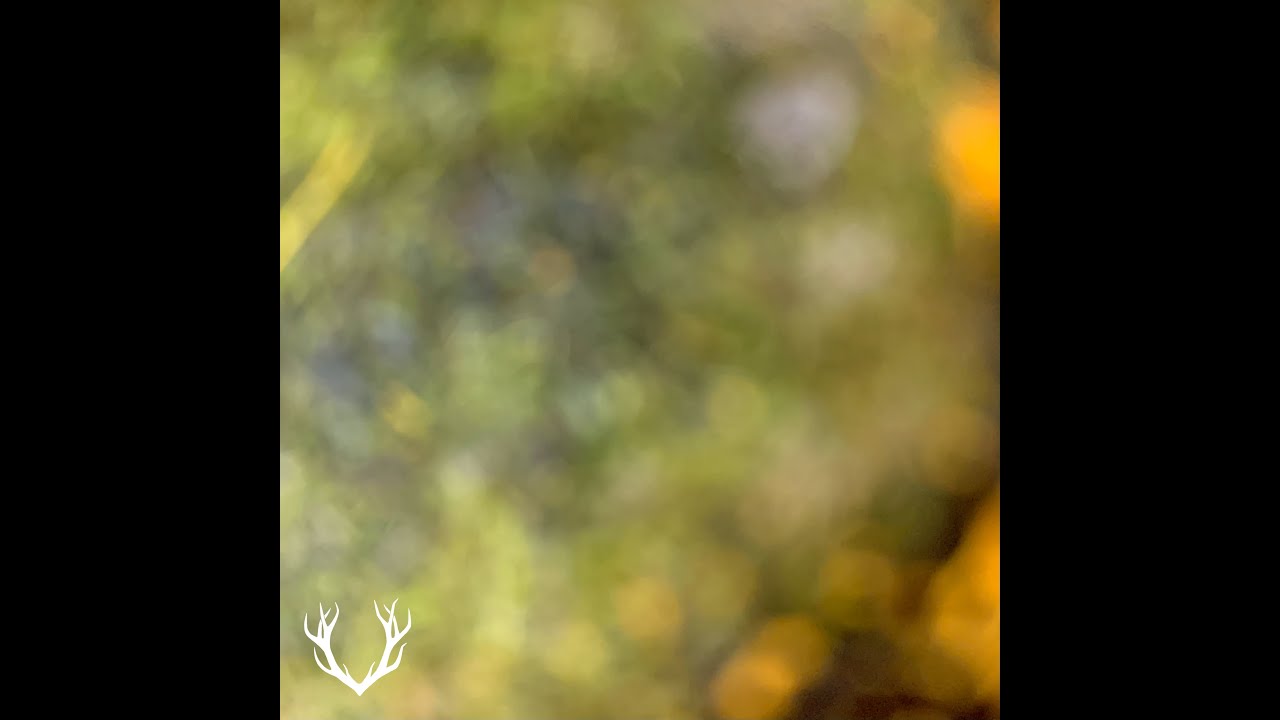 Sunny (prod. Visceral)