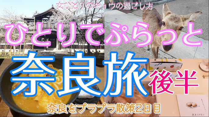 奈良編前半 女ひとり旅 ひとりでぷらっと奈良旅 ランチ カフェ 鹿 東大寺 変なホテル 奈良 Youtube 奈良編前半 女ひとり旅 ひとりでぷらっと奈良旅 ランチ カフェ 鹿 東大寺 変なホテル 奈良 Youtube