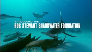 Rob Stewart Sharkwater Foundation Teaser