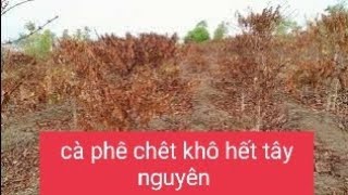 cà phê chêt sách  rồi không cứu được rồi 👻👻@khiudinh81Gl