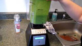 Blendtec Total Blender Wildside HP3A makes a green smoothie