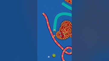 🐍😱 Worms Zone io magic video #noob_to_pro #shorts #snake #game #wormszoneio #001 #pro,snake