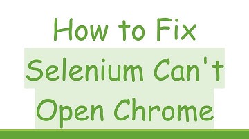 How to Fix Selenium Can