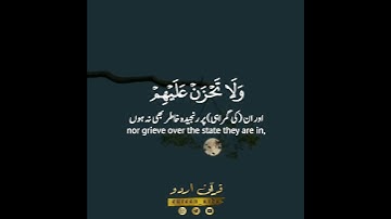 📖ولقد آتيناك سبعا من المثاني والقرآن العظيم🤍✨سورة الحجر:٨٧-٨٩|عمير شميم|Al Hijr:87-89|Umair Shamim