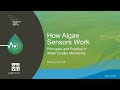 YSI Webinar | How Algae Sensors Work
