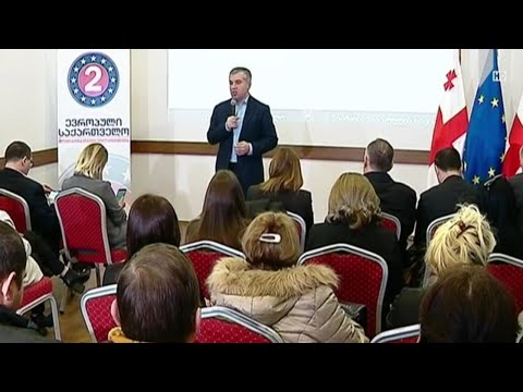 „ევროპული საქართველოს“ ინიციატივა