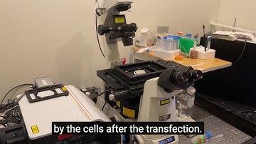 Virtual Tour: Boyden Lab