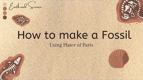 How to make Fossil using Plaster of Paris