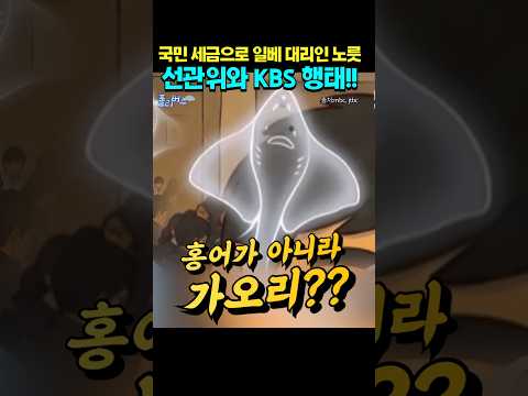 선관위와 KBS가 대놓고 ??  #선관위 #KBS #방송사고 #일베논란 #홍어 #가오리 thumbnail