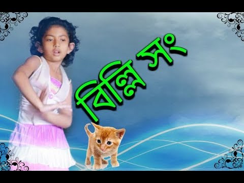 billi-song-l-বিল্লি-সং-l-best-funny-song-by-prank-king-entertainment