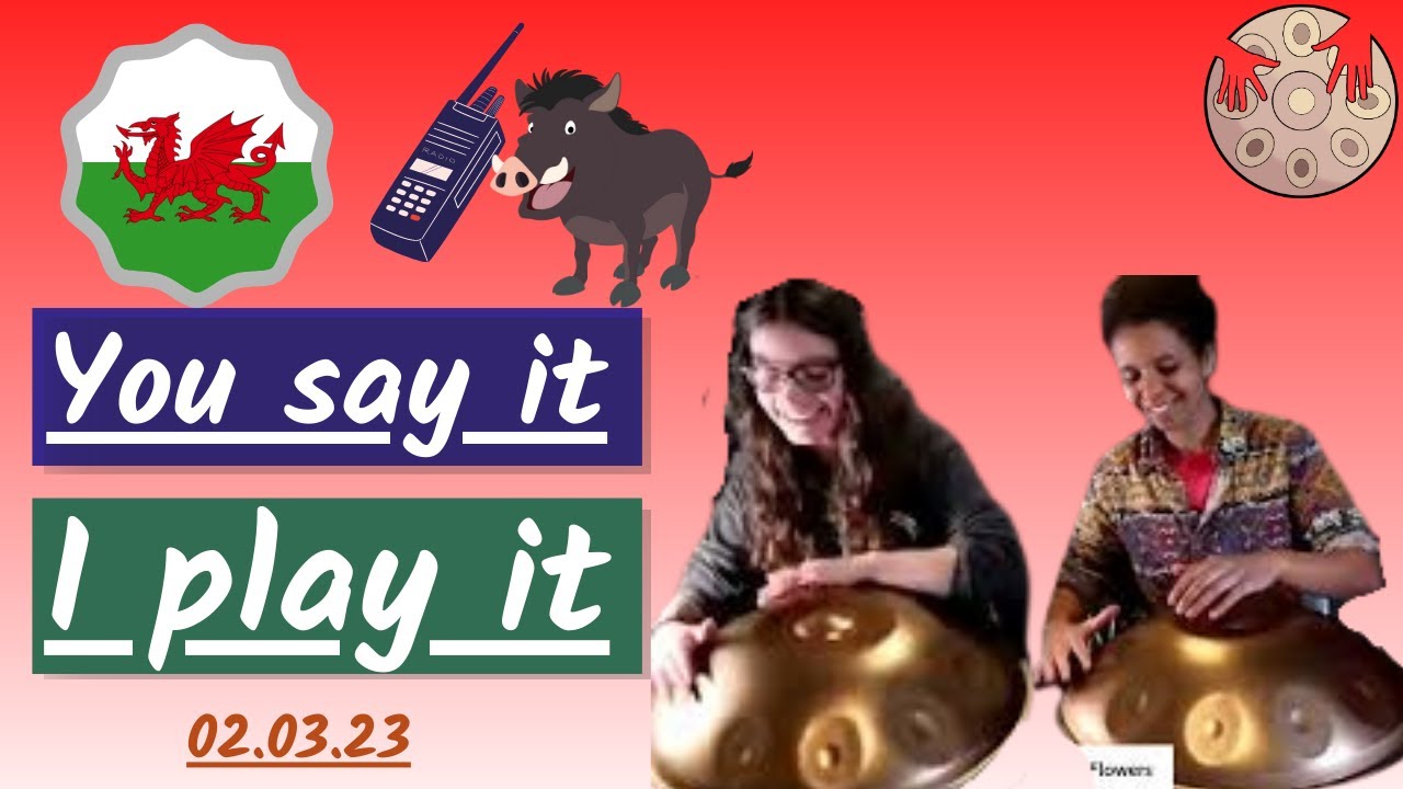 Welsh Dragons, Warthogs, and Walkie-talkies - Interactive Handpan Improvisation (02.03.23)
