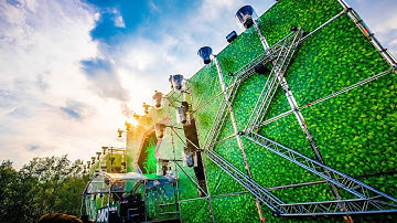 Flashback Festival | Official 2018 Recap