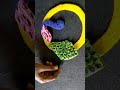 peacock hanging making| Bhava&#39;s hand touch craftsss|#shortfeed #shorts #cute #crafts #youtubeshorts