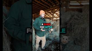 Essential Materials For Your Barn #barn #farmer #farmlife #homestead #straw #cattle #hay #motivation