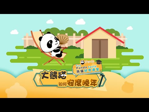 《熊貓好奇課堂》大熊貓如何安度晚年 | iPanda熊貓頻道