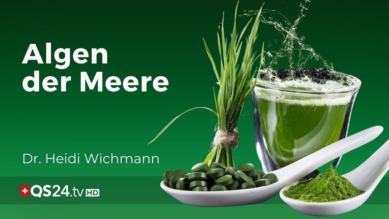 Das Glück dieser Erde liegt in den Algen der Meere Dr  Heidi Wichmann Naturmedizin QS24