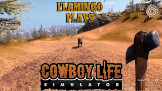 Flamingo Plays: Cowboy Life Simulator EP01:Got Drunk and Signed the Papers