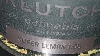 SUPER LEMON DOG KLUTCH CANNABIS