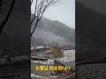 눈빨님, 죄송합니다