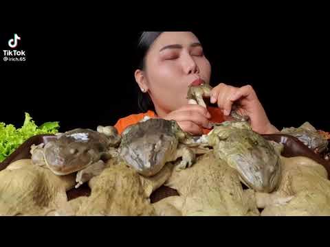 Video: Qurbağa balıq yeməyi yeyəcəkmi?