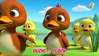 Awesome Animal Songs 🎶🧸Colorful Animals  Nursery Rhymes   Kindergarten Learning Videos
