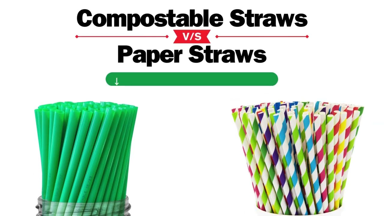 Dive Deeper: Dr.Bio Compostable Straws vs. Paper Straws Exposed!