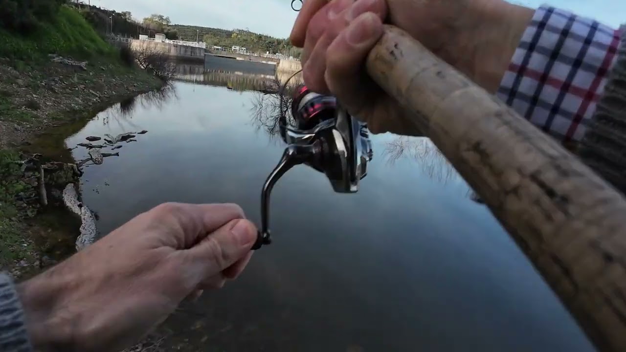 Primeira pescaria de 2025, um belo barbo 🎣