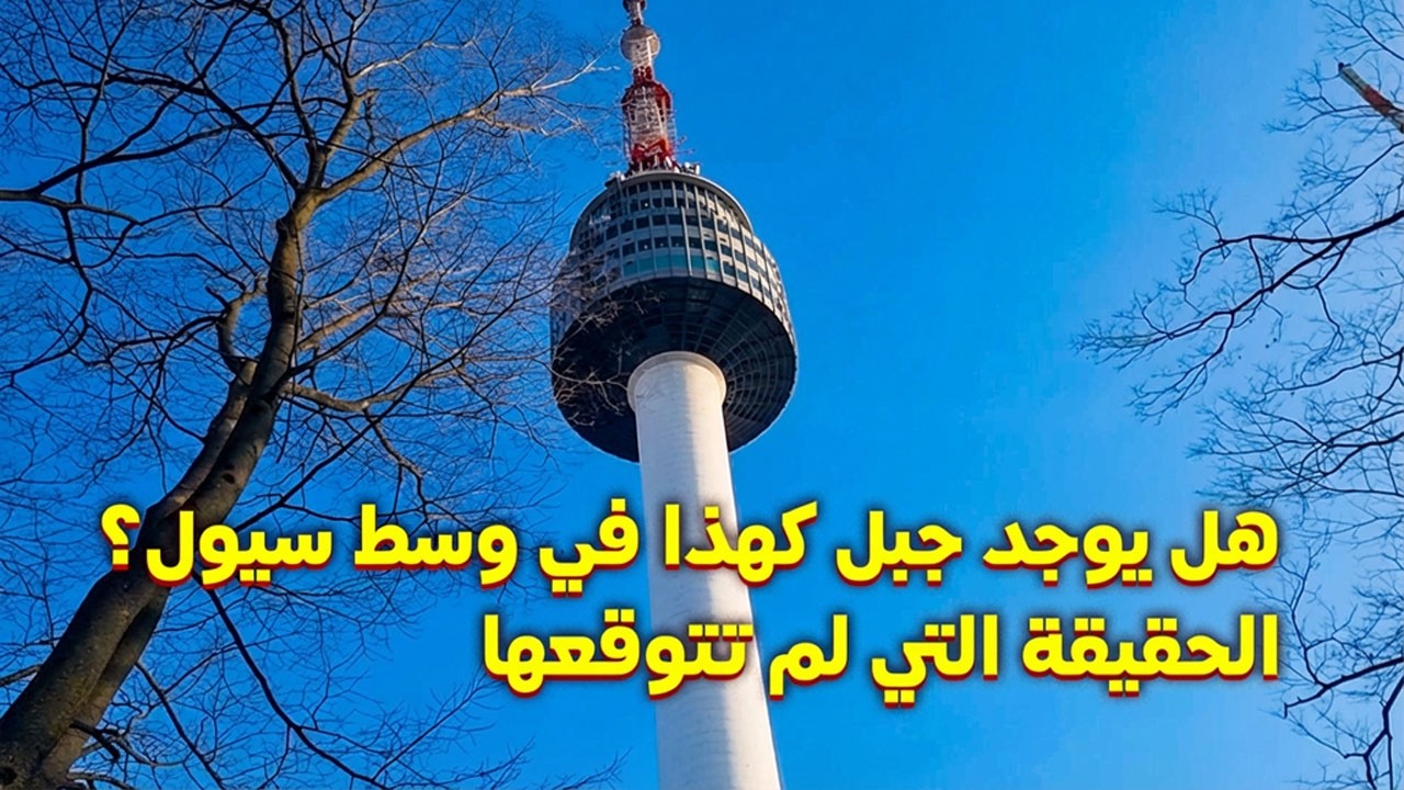 🇰🇷 على بعد 10 دقائق من ميونغدونغ… هل سيول بهذا الحجم؟ | برج نامسان