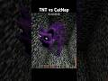 Minecraft : TNT vs CatNap #minecraft #shorts