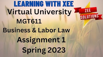 MGT611 Assignment 1 Spring 2023 virtual Universe of Pakistan