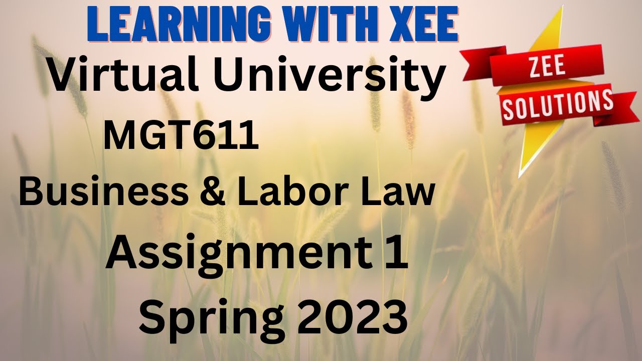 mgt611 assignment solution 2023