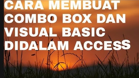 BELAJAR ACCES, COMBO BOX DAN MUDAH VISUAL BASIC (1)