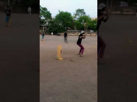 BOWLD OUT Shortsfeed Cricket Shorts