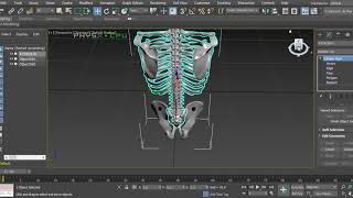 HOWTO - Detach : Autodesk 3ds Max 2020