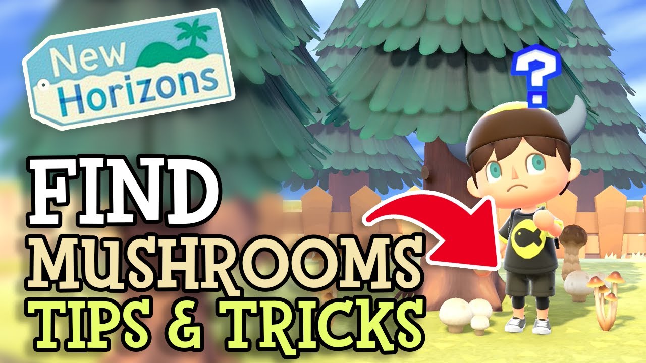 Animal Crossing New Horizons How To Get MUSHROOMS (All Details with