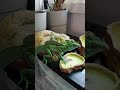 Aztec the Green Basilisk eating Breakfast