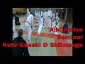 Aikijujutsu seminar  germany 2009  keith morgan kyoshi  kote gaeshi  shihonage