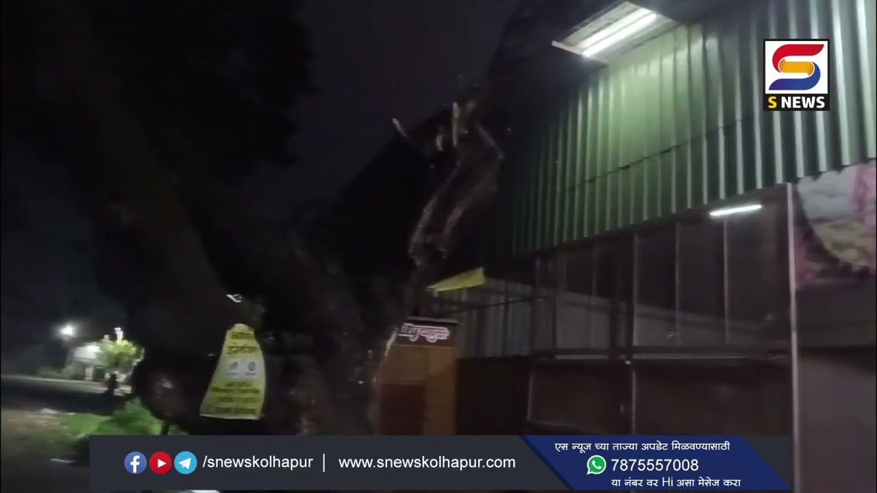 कोल्हापूर मार्केट यार्ड मधील सिध्देश्वर ट्रेडींग मध्ये चोरी