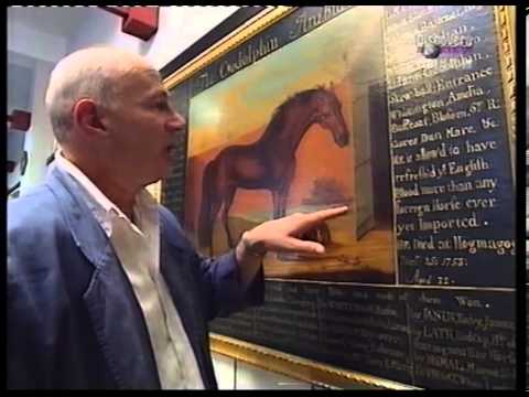 Neil Innes - Away With Words - Horse race episode