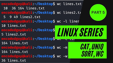 Linux Series Part 5 - cat, uniq, sort, wc commands explanation | rashahacks