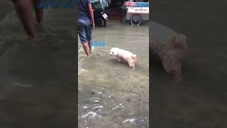 There is flooding in Bangkok