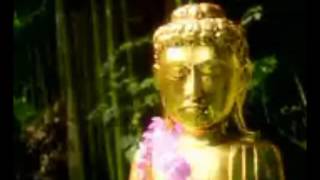 A Fee Buddha K Fee Parody